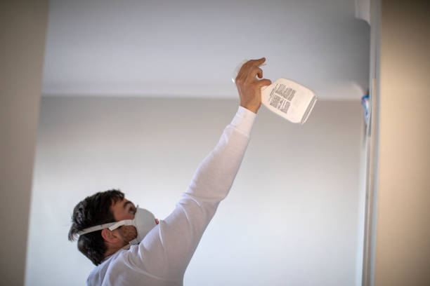 Best Emergency Mold Removal  in South Riding, VA