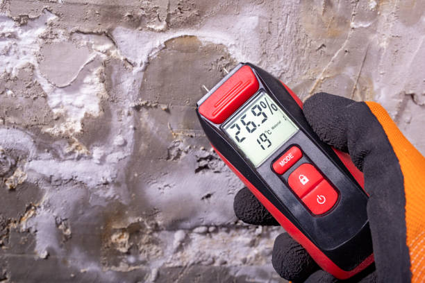 Best Mold Cleaning Services  in South Riding, VA
