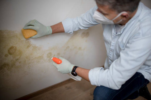 Water Damage Restoration in South Riding, VA