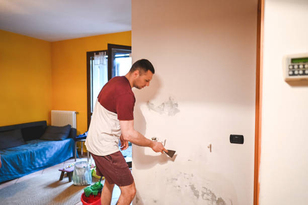 Best Mold Cleaning Services  in South Riding, VA