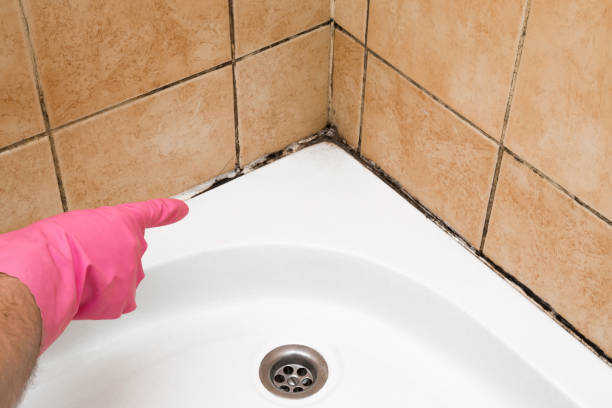 Best Office Mold Removal Services  in South Riding, VA